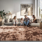 Zentavio Area Rugs for Living Room Large Rugs for Bedroom 8x10 Soft Carpet Fluffy Furry Shag Aesthetic Plush High Pile Gray Throw Rug for Nursery Kids Room Dorm Tie-Dyed Coffee