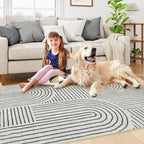 Lahome Abstract Bedroom Rug, Soft 4x6 Rug Ultra-Thin Washable Area Rugs for Living Room, Modern Black Rug Non-Slip Throw Carpet for Entryway Office Kitchen(4'x6',Black)