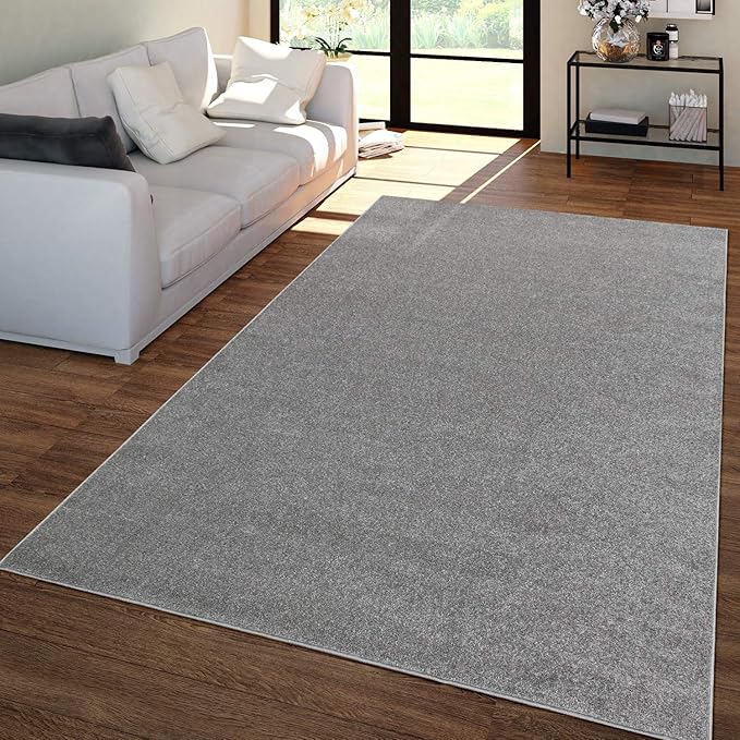 Paco Home Solid Area Rug in Anthracite Modern Plain Design, Size: 2'8" x 4'11"