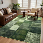 DweIke Washable Area Rugs for Living Room, 5x7 Soft Bedroom Rugs, Geometric Print Non-Slip Modern Rug, Stain Resistant Throw Carpets for Office Nursery Dining Room Home Dorm Decor, Green