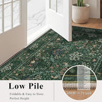 5x7 Floral Washable Area Rugs for Living Room, Vintage Boho Large Rug for Bedroom Dining Room， Distressed Botanical Birds Non Slip Low Pile Forest Throw Carpet for Farmhouse Office, Bright Green