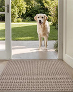 DEXI Front Entryway Door Mat Non Slip 24x36, Washable Entry Way Mats Inside Entrance Low Profile, Welcome Doormat Dirt Trapper for House Floor Home Porter Hall Backdoor Area, Light Taupe
