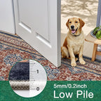 LUMI Washable Area Rug 5x8 for Living Room, Ultra Soft Stain Resistant Carpet with Non Slip Rubber Backing, Non-Shedding Low Pile Rugs for Bedroom, Dining Room, Indoor, Office