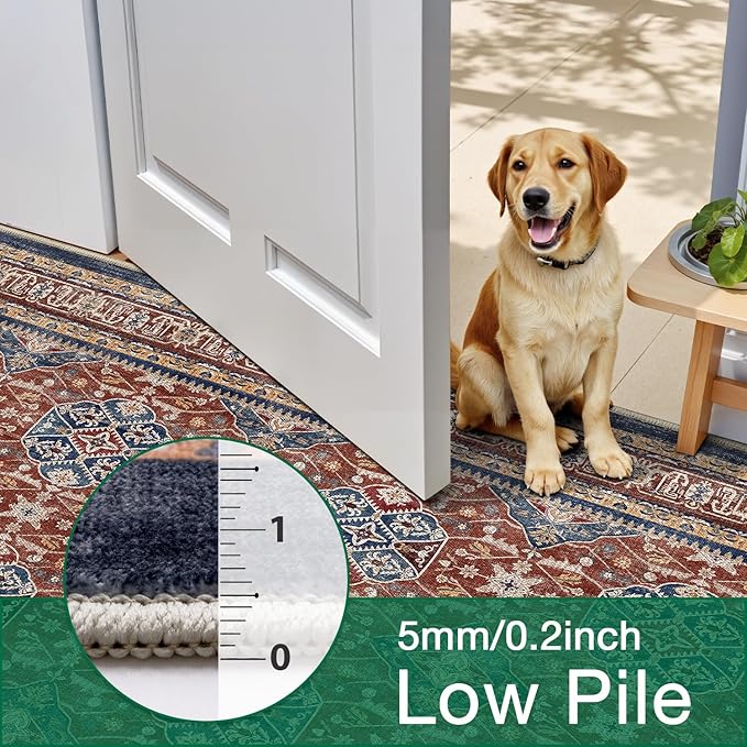 LUMI Washable Area Rug 5x8 for Living Room, Ultra Soft Stain Resistant Carpet with Non Slip Rubber Backing, Non-Shedding Low Pile Rugs for Bedroom, Dining Room, Indoor, Office