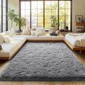 Dark Gray Fluffy Rug Plush Carpet for Bedroom Dorm, Non-Slip High Pile Rug, Shag Rug for Playroom Nursery Home Office Decor 8X10 Ft