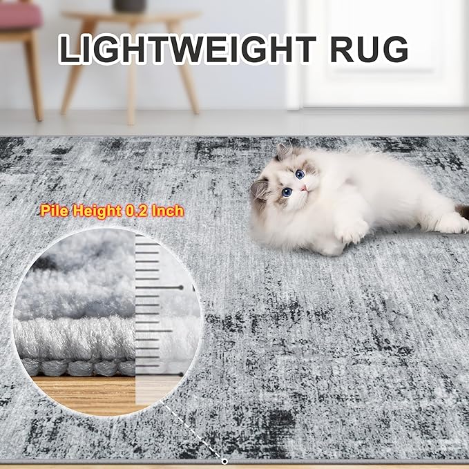 Area Rugs 10x14 Living Room - Washable Rug Modern Abstract Soft Large Neutral Non-Slip Carpet Indoor Floor Thin Carpets for Bedroom Dining Room Farmhouse Nursery Home Office Black