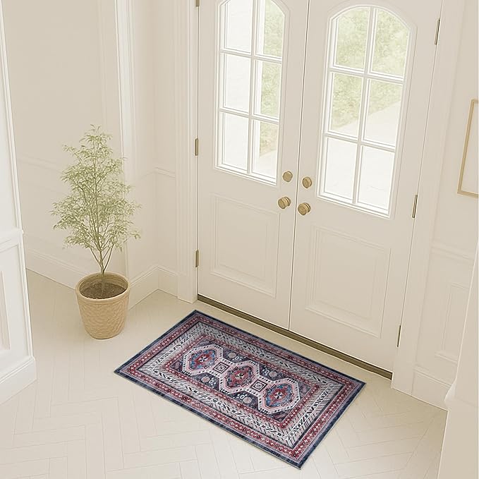 Turkish Rug. Washable Vintage Oriental Antique Inspired Traditional Doormat Small Modern Area Rugs Luxury Entryway Entry Bedroom Bathroom Kitchen (400RN, 2' x 3')