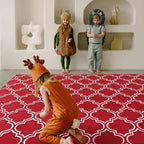 Amearea Fluffy Indoor Area Rug, Soft Trellis Moroccan Rugs for Bedroom, Shag Modern Area Rug for Living Room Kids Room Nursery, Easy Clean, Home Decor Low Pile Carpet, Wine Red 7x10 Feet