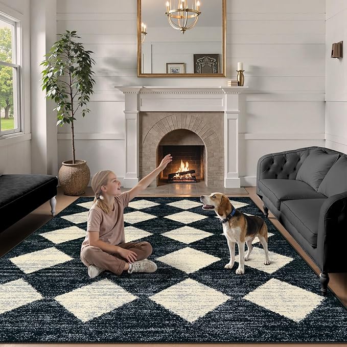 Lahome Checkered Washable 8 x 10 Area Rugs for Living Room, Black Bedroom Rug 8x10 Under Bed, Geometric Trellis Soft Ultra-Thin Indoor Carpet for Dining Room Dorm Kids Playroom (8'x10',Black)