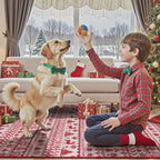2025 Christmas Door Mat, 2x3 Small Red Rugs for Entryway, Low Pile Xmas Kitchen Rugs Non Slip Washable, Thin Bathroom Rugs Fit Under Door, Winter Holiday Accent Rug for Entry Bedroom