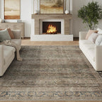 FMFUNCTEX 6x9 Washable Area Rug Brown Vintage Neutral Distressed Large Non Slip Carpet for Living Room Bedroom Soft Low Pile Indoor Mat Retro Throw Rug for Dining Room Kitchen Office Nursery, Multi