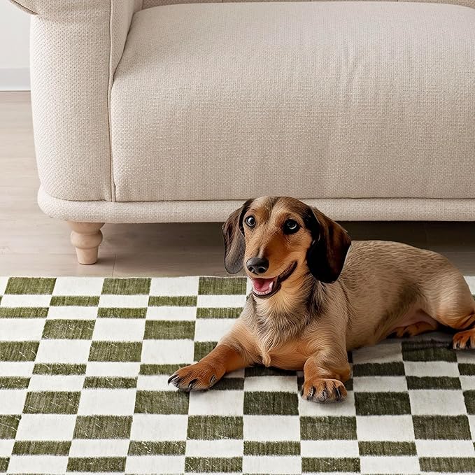 EVERGRACE Checkered Plaid Area Rug 4x6, Soft Fuzzy Faux Wool Rugs Washable Anti Slip Rugs Large Rug Carpet for Entryway Bedroom Living Room Hallway Kitchen Dining Room and Laundry Room, Olive Green