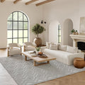 Nourison Home Versatile Silver Grey 6' x 9' Area Rug - Easy Clean, Non Shedding, Bed Room, Living Room, Dining Room, Kitchen (6' x 9')