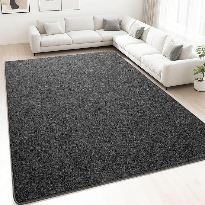 HQAYW 5x7 Area Rugs for Living Room Bedroom, Modern Thickened Memory Foam Soft Rug, Indoor Low Pile Minimalist Washable Non Slip Carpets for Kids Girls Boys Nursery Dorm Home Decor, Dark Grey