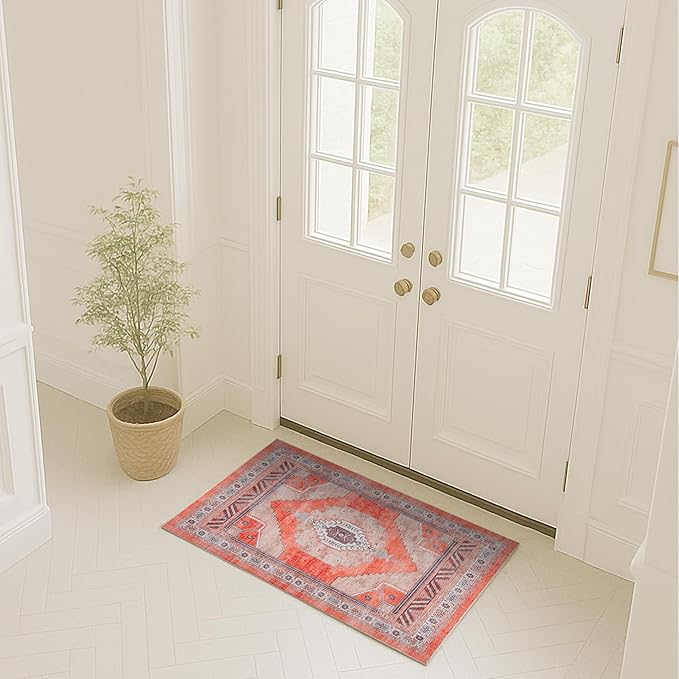 Fame Rugs Turkish Rug. Washable Vintage Oriental Antique Inspired Traditional Doormat Small Modern Area Rugs Luxury Entryway Entry Bedroom Bathroom Kitchen (380TT, 2' x 3')