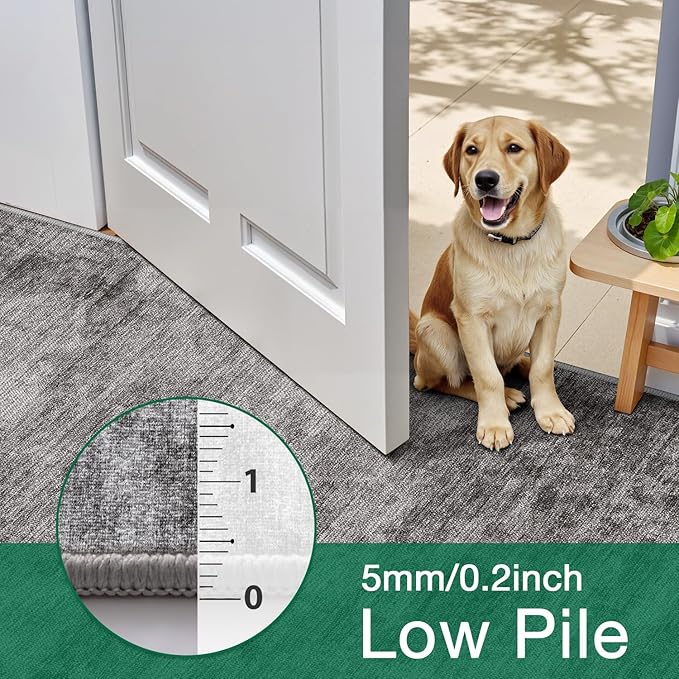 LUMI 5x8 Washable Area Rug for Living Room, Ultra Soft Modern Neutral Grey Rugs Non Slip with Rubber Backing, Low Profile, High Traffic, Stain Resistant Carpets, Ideal for Bedroom, Dining Room