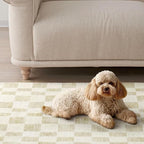 EVERGRACE Checkered Plaid Area Rug, Soft Faux Wool, 8x10, Washable, Anti Slip, Large Carpet for Entryway, Bedroom, Living Room, Hallway, Kitchen, Dining Room, Laundry, Beige