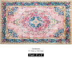 Boho Rug 3x5 Pink Small Area Rug Washable Vintage Rug for Kitchen Living Room Bedroom Bathroom Office Low Pile Non Slip Indoor Floor Carpet