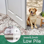LUMI Washable Area Rug 5x8 for Living Room, Ultra Soft Stain Resistant Carpet with Non Slip Rubber Backing, Non-Shedding Low Pile Rugs for Bedroom, Dining Room, Indoor, Office