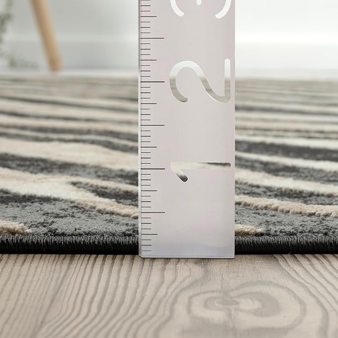 Abani Terra Area Rug for Living Room, Bedroom - Zebra Pattern - Black Cream - 4' x 6' - Durable & Easy to Clean