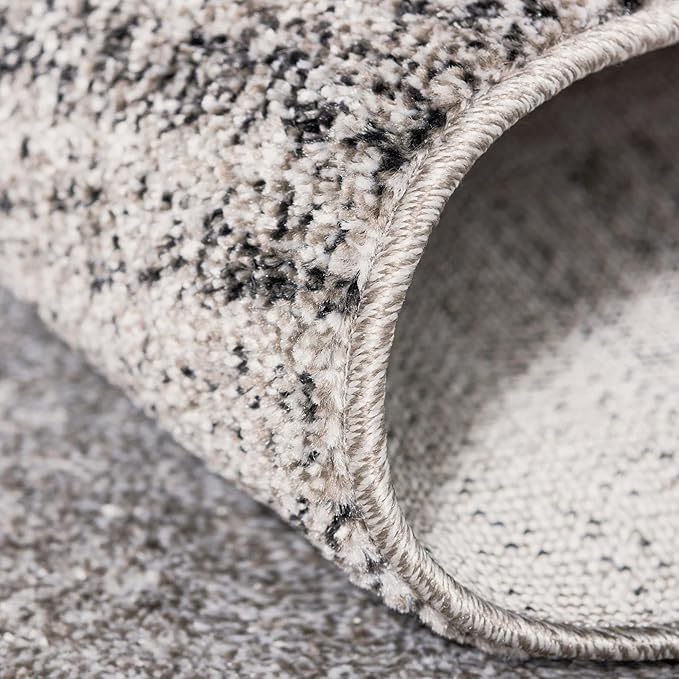 Rugs.com Angelica Collection Rug – 4' x 6' Light Gray Medium Rug Perfect for Entryways, Kitchens, Breakfast Nooks, Accent Pieces