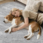 8ft Round Rug Living Room: Washable Large Vintage Rug Neutral Non-Slip Soft Stain Resistant Indoor Carpet for Bedroom Nursery Dining Room Under Table Bed Home House Office Playroom - Grey