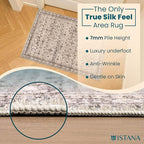 Istana Rugs 2x3 - Beige Grey/Light Cream Area Rug - Foldable 2x3 Washable Rug Non Slip - Anti-Slip Home Area Rugs - Soft Microfiber Non Skid Area Rug