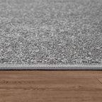 Paco Home Solid Area Rug in Anthracite Modern Plain Design, Size: 2'8" x 4'11"
