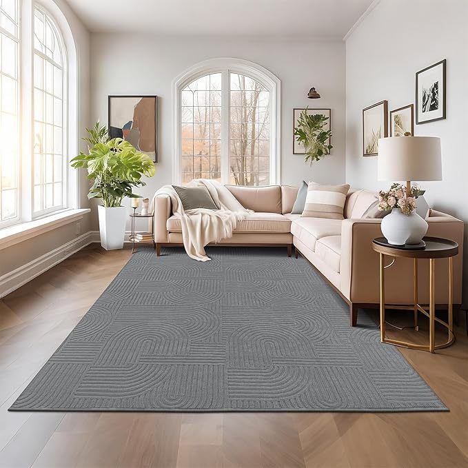 Pauwer 8x10 Washable Area Rugs for Living Room Modern Grey Solid Color Soft Fluffy Rugs for Bedroom Non Slip Boho Accent Indoor Mat Floor Carpet Cover for Kids Room Dining Room Kitchen Office