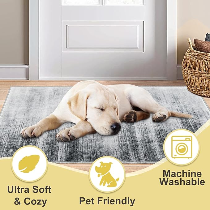 COMSLE Door Mat Soft Absorbent Indoor Front Entryway Rug Machine Washable Entrance Mats for Muddy Paws Non Slip Throw Rugs 32" x 48" Doormat for Inside Foyer Bedroom - Gray