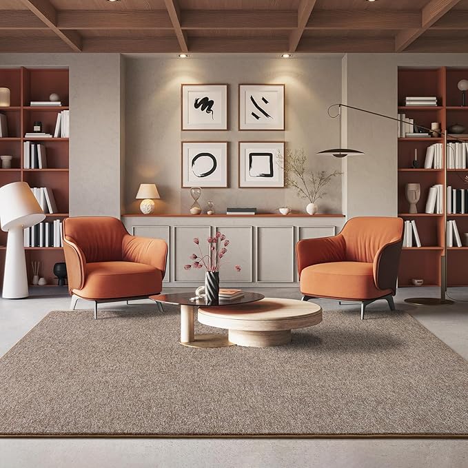 AROGAN Washable 6×9 Living Room Rug, Modern Area Rugs with Soft Memory Foam for Bedroom, Minimalist Non-Slip Indoor Floor Carpet for Dining Room Office Kids Playroom Decor, Matte Brown