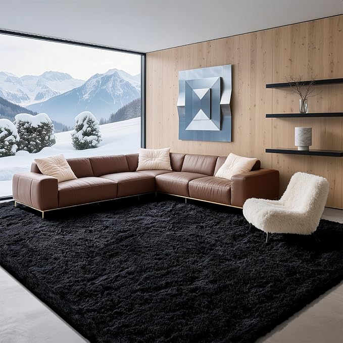 8x10 Area Rugs for Living Room Bedroom, Soft Fluffy Shaggy Bedside Rug, Indoor Floor Carpet for Kids Playroom, Dorms, Nursery Rooms, Home Decor (Black 8'x10')