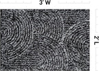 Rugshop Circles Arch Shag Area Rug Anthracite Dark Gray 2' x 3' Ideal for Entryways, Kitchens, or Small Spaces