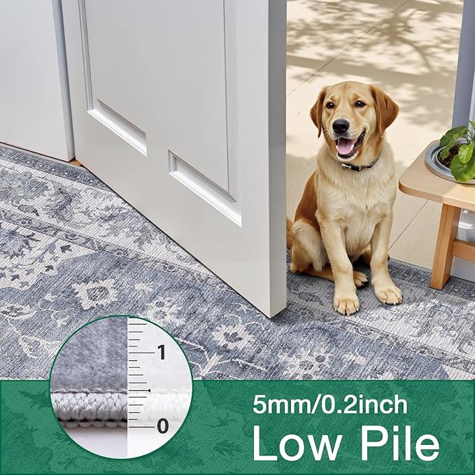 LUMI Washable Area Rug 8x12 for Living Room, Ultra Soft Stain Resistant Carpet with Non Slip Rubber Backing, Non-Shedding Low Pile Rugs for Bedroom, Dining Room, Indoor, Office
