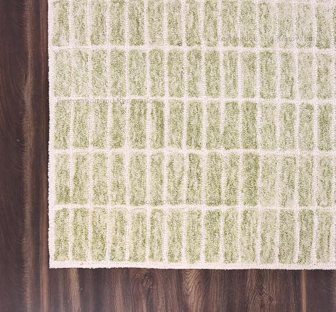 Handmade Capitola Space Dyeing Imported Premium Wool Area Rug - Unique Modern Design Carpet for Living Room, Bedroom, and Dining Room (Light Green, 5' x 7')