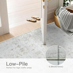 Washable 4×6 Area Rugs for Living Room, Vintage Floral Rug Soft Non Slip Stain Resistant Boho Carpet for Bedroom Dinning Room Kitchen Home Office 02 Beige