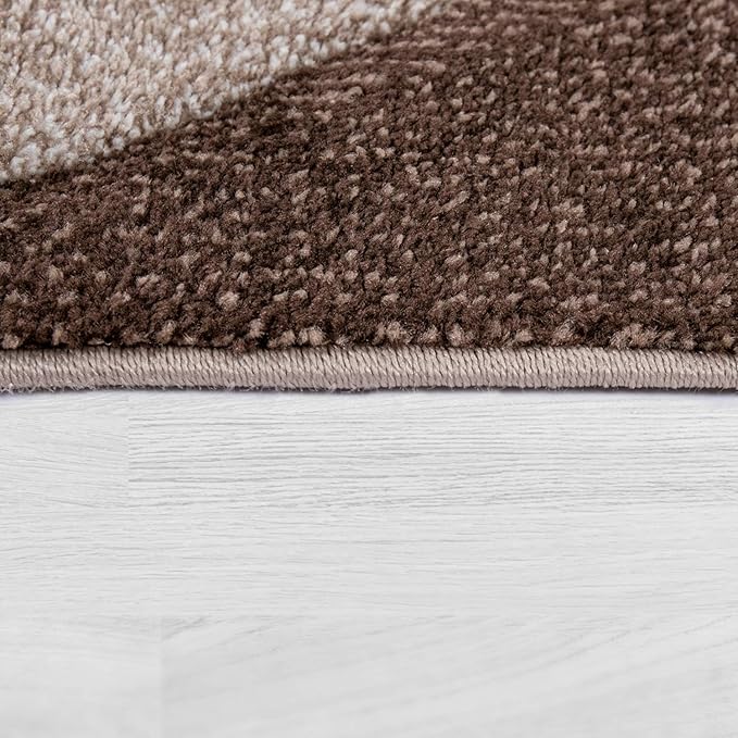 Paco Home Modern Area Rug Bordered with Geometric Pattern in Brown Beige with Contour Cut, Size: 2'8" x 4'11"