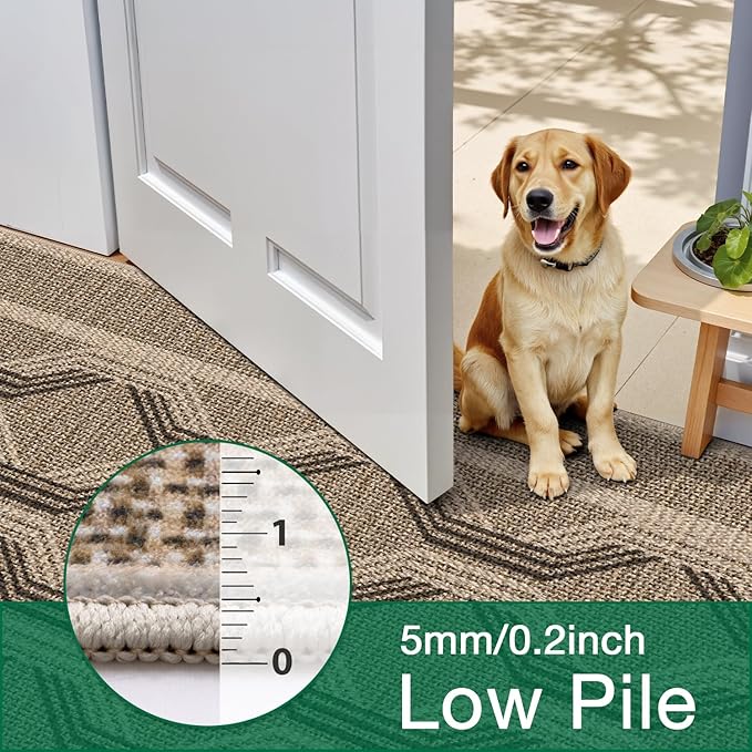 LUMI 4x6 Washable Area Rug for Living Room, Ultra Soft Modern Abstract Rugs Non Slip with Rubber Backing, Low Profile, High Traffic, Stain Resistant Carpets, Ideal for Bedroom, Dining Room, Indoor
