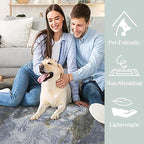 Modern Washable Rug for Living Room: Abstract 5x7 Area Rugs for Bedroom Low Pile Non Slip - Stain Resistant Carpet for Dining Room Indoor - Grey Gold