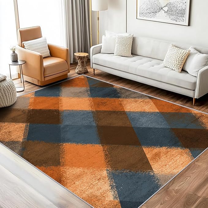 Checkered Geometric Rug, Washable 5x7 Rug for Living Room, Modern Abstract Patterned Indoor Carpet, Checkered Geometric Decor for Home, Bedroom, Soft Non Slip Thin Design FER48