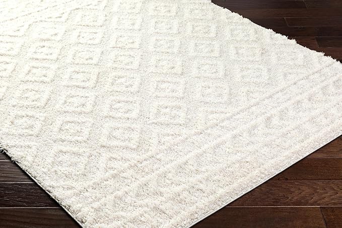 Hauteloom Eivin Living Room, Bedroom Area Rug - Plush Pile - Cream - 6'7" x 9'