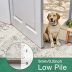 LUMI Washable 5x8 Area Rug for Living Room, Ultra Soft Vintage Rug with TPE Non Slip Backing, Stain Resistant, Low Profile Carpet High Traffic for Bedroom, Dining Room