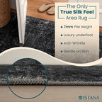Istana 4x6 Area Rug - Black Rugs for Living Room 4x6 - Foldable Rugs for Bedroom - Stain Resistant Washable Rug - Eco-Friendly Boho Area Rugs - Easy to Clean Living Room Rug 4 x 6