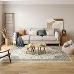 Dripex 8x10 Area Rugs - Stain Resistant Washable Rug Distressed Rugs for Living Room Dining Room Bedroom Anti-Slip Low-Pile and Soft Accent Rug Farmhouse Office Home Decor, Pet & Child Friendly