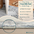 Istana 3x5 Area Rug - Blue Modern Rugs for Living Room 3x5 - Foldable Rugs for Bedroom/Living Room Rug - Stain Resistant Washable Rug - Eco-Friendly Small Area Rugs
