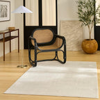 Nourison Home Nordic Ivory 4' x 6' Area Rug - Easy Clean, Non Shedding, Bed Room, Living Room, Dining Room, Kitchen (4' x 6')