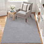 SHACOS Soft Cozy Fluffy Arch Pattern High Low Pile Rugs 3'x5' Non Slip Washable Scandinavian Minimalist Rug Modern Geometric Arc Carpet for Living Room Bedroom Dining Room, Light Grey