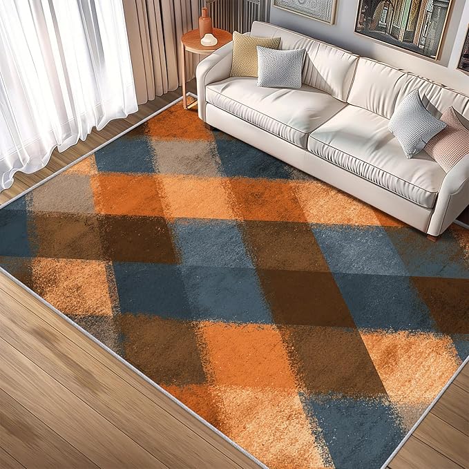 Checkered Geometric Rug, Washable 6x9 Rug for Living Room, Modern Abstract Patterned Indoor Carpet, Checkered Geometric Decor for Home, Bedroom, Soft Non Slip Thin Design FER51