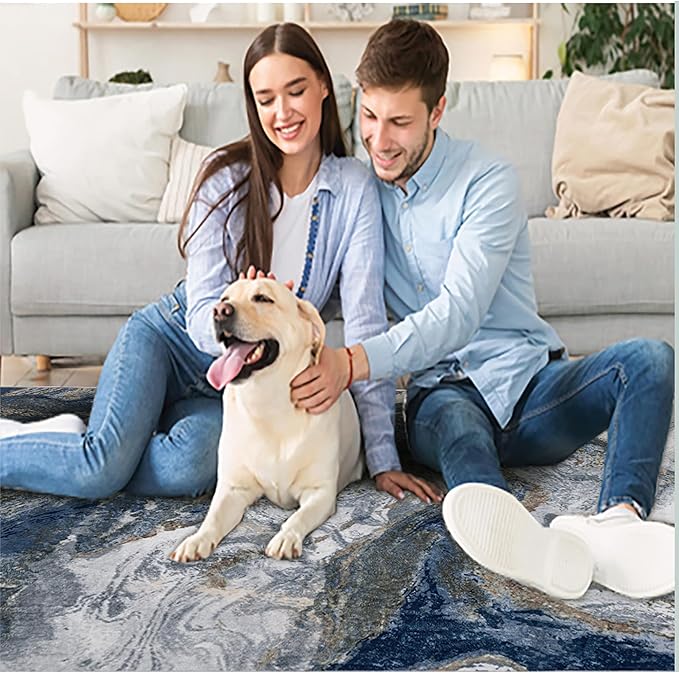 Modern Washable Rug for Living Room: Abstract 6x9 Area Rugs for Bedroom Low Pile Non Slip - Stain Resistant Carpet for Dining Room Indoor - Blue Gold