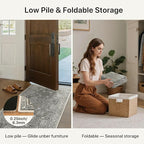 Bavni Area Rugs for Living Room, 5x7 Area Rugs Non-Slip Washable，Ultra-Thin Aesthetic Boho Rug for Bedroom Dinning Room Office, Gery